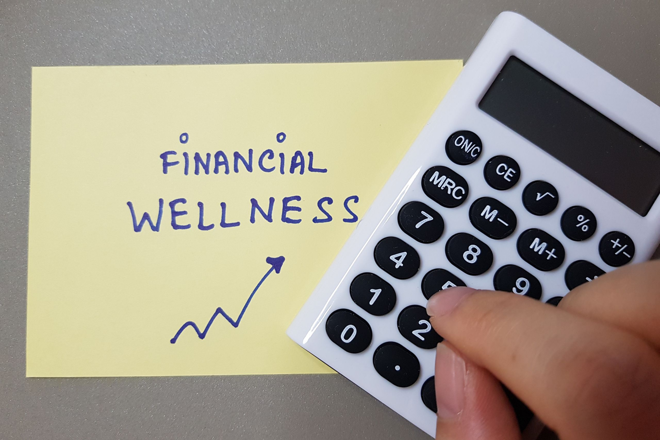 financial wellness management planning literacy