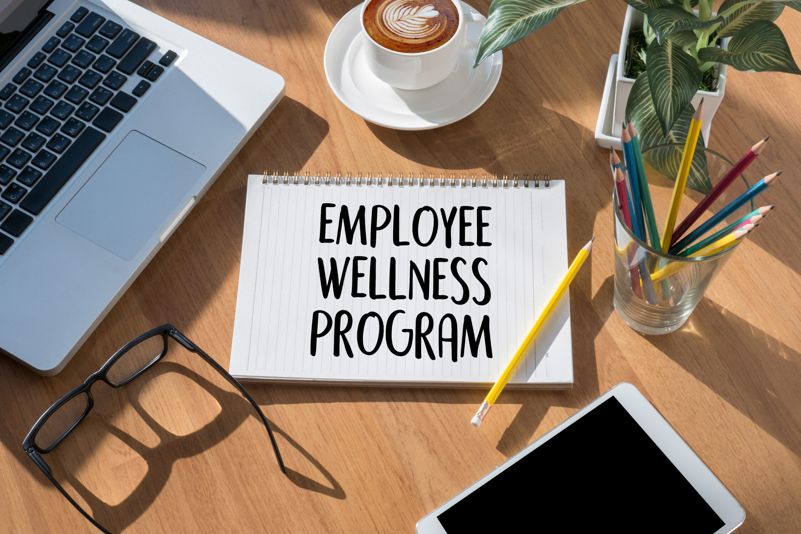Understanding Employee Wellness Programs
