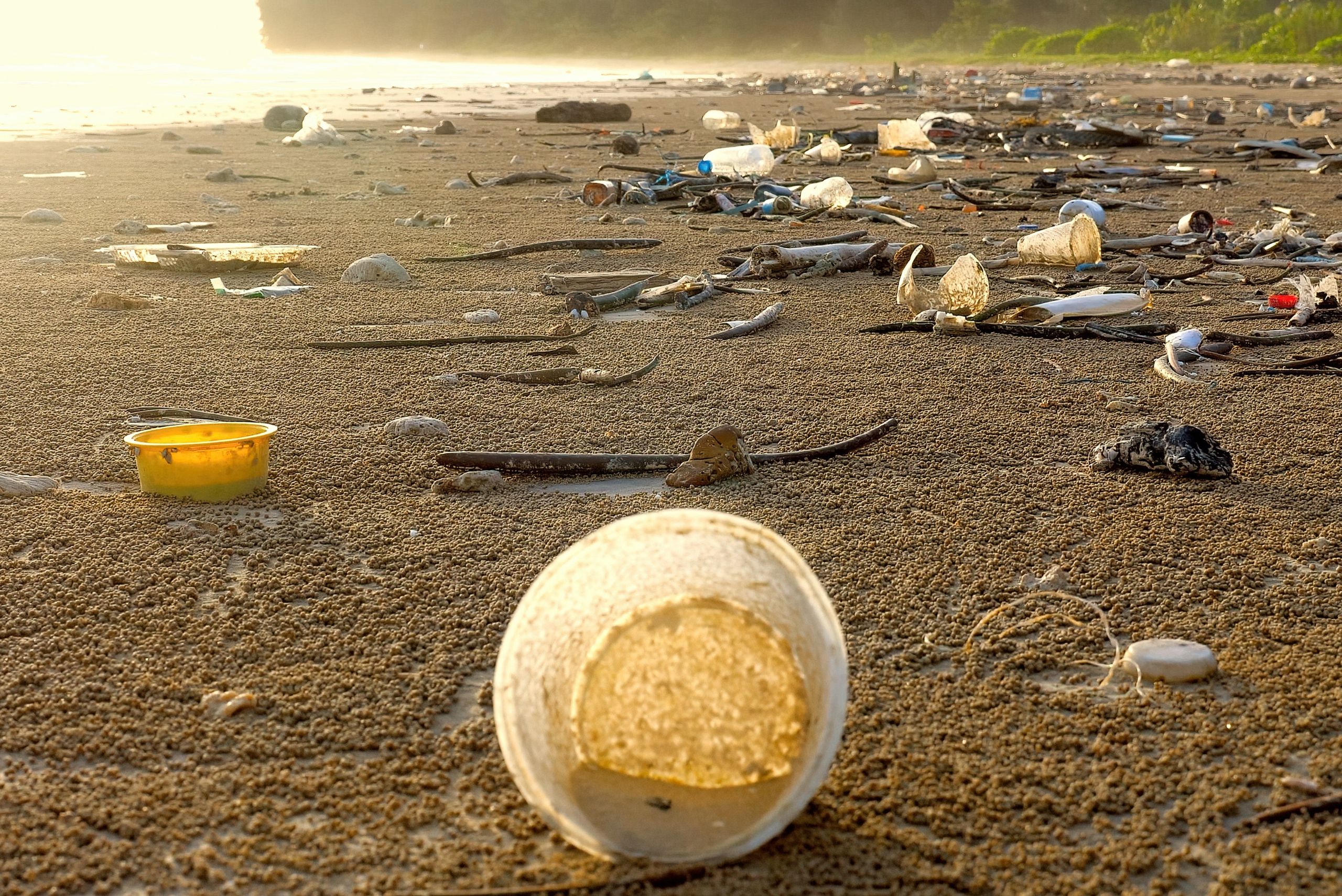 plastic pollution sea shore polluted ocean